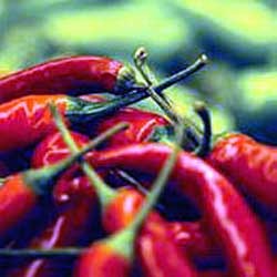 Manufacturers Exporters and Wholesale Suppliers of Red Chillies Pune Maharashtra